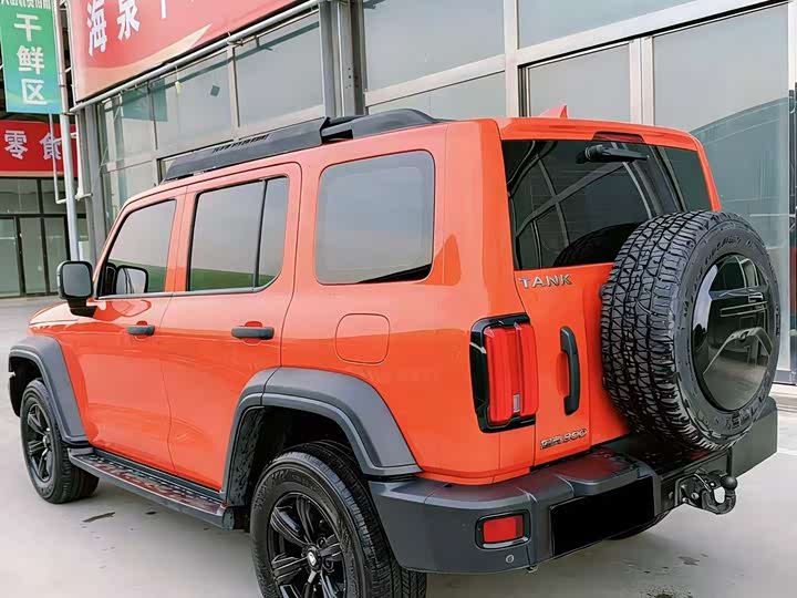 Фото 4 - Tank 300