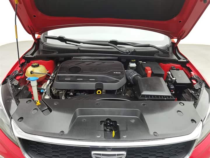 Фото 6 - Geely Binrui