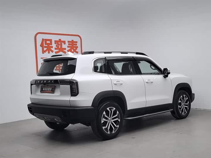 Фото 2 - Haval Dargo