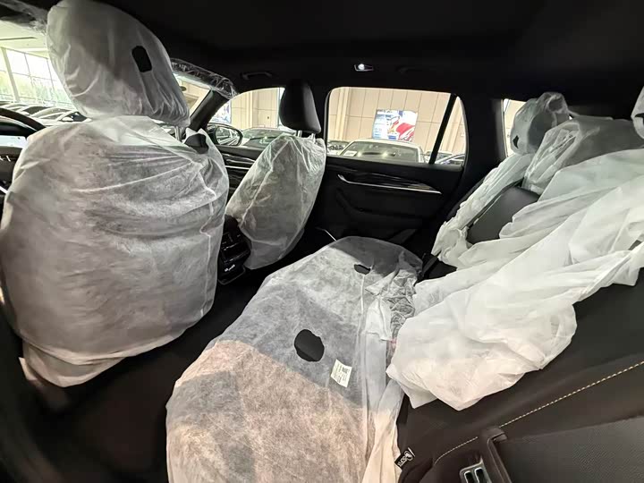 Фото 8 - Geely Monjaro