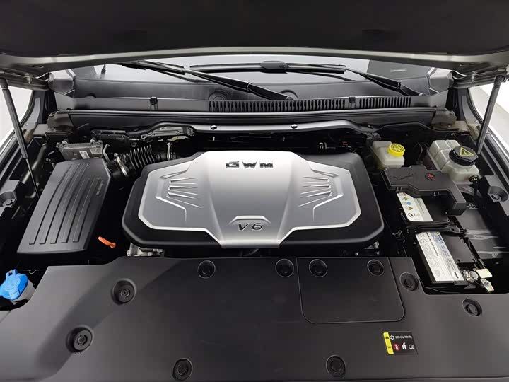 Фото 6 - Great Wall Shanhai Poer