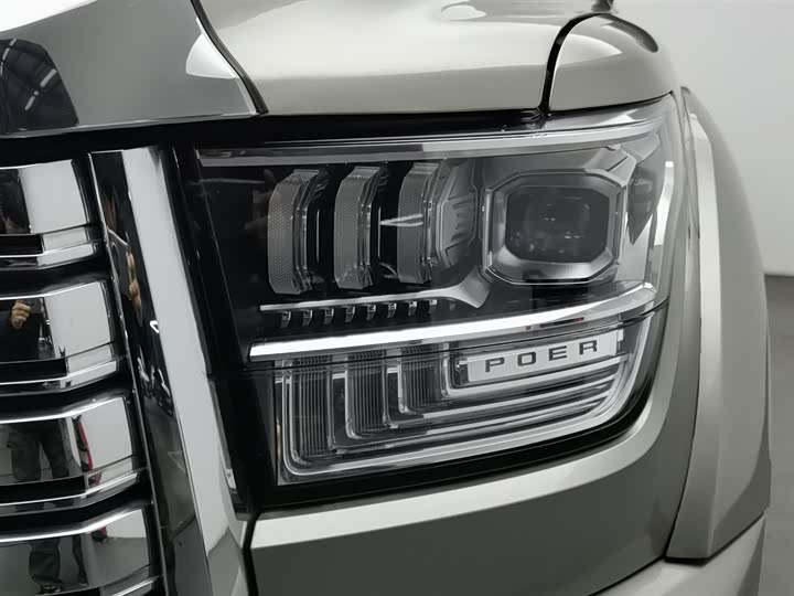 Фото 7 - Great Wall Shanhai Poer