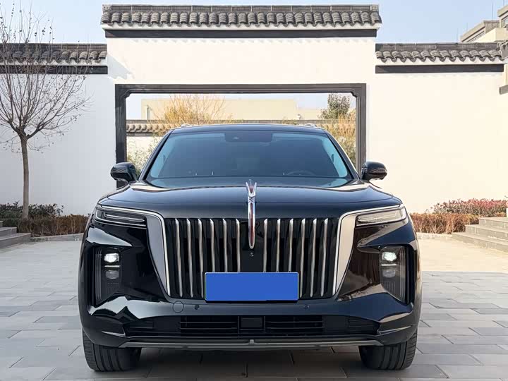 Фото 2 - Hongqi E-HS9