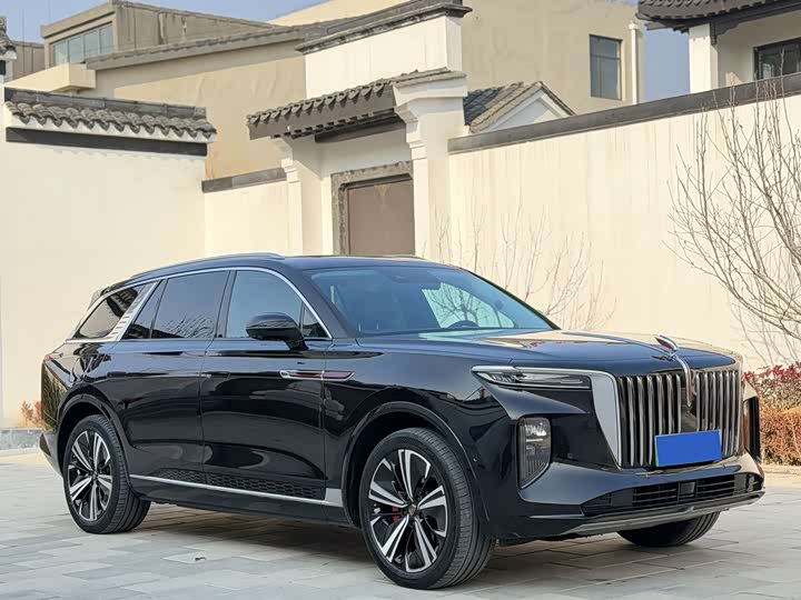 Фото 3 - Hongqi E-HS9
