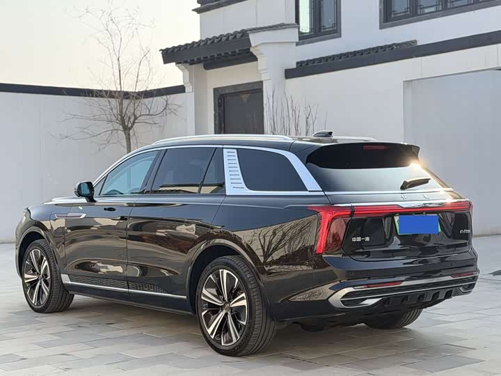 Фото 7 - Hongqi E-HS9