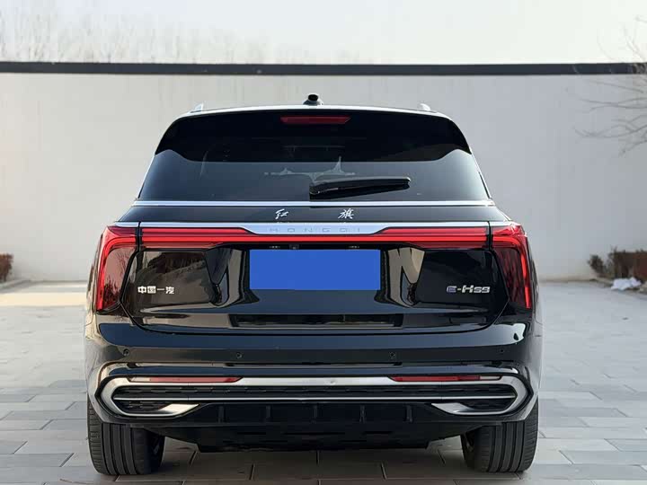 Фото 8 - Hongqi E-HS9