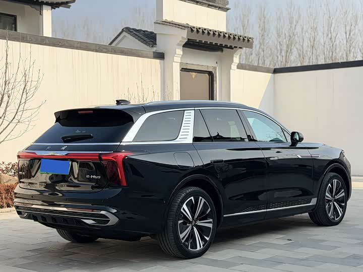 Фото 9 - Hongqi E-HS9