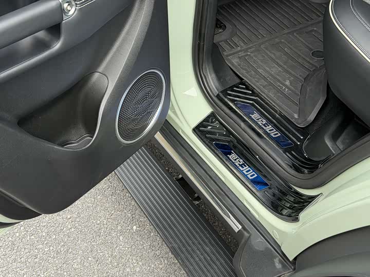 Фото 9 - Tank 300