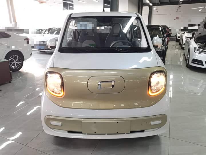 Фото 3 - Bestune Pony