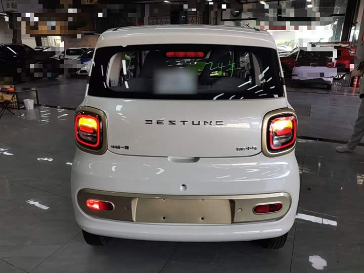 Фото 6 - Bestune Pony