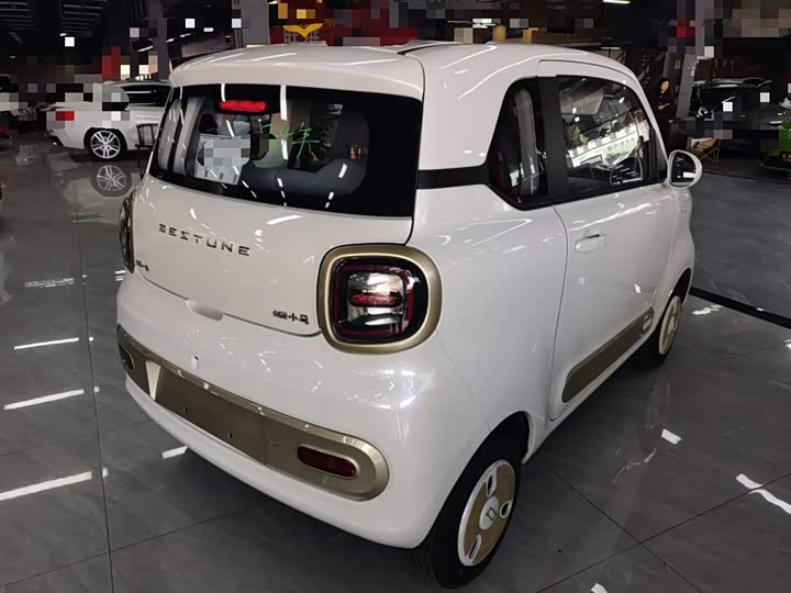 Фото 7 - Bestune Pony