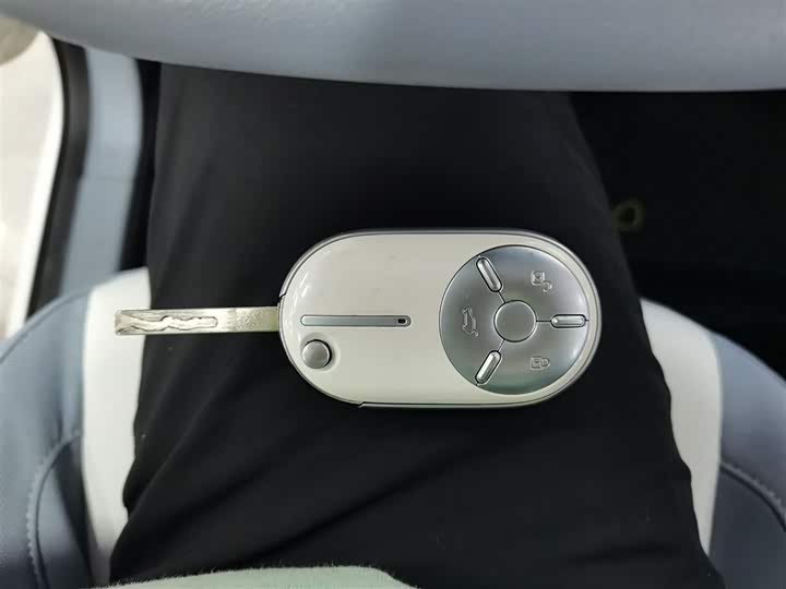 Фото 9 - Bestune Pony