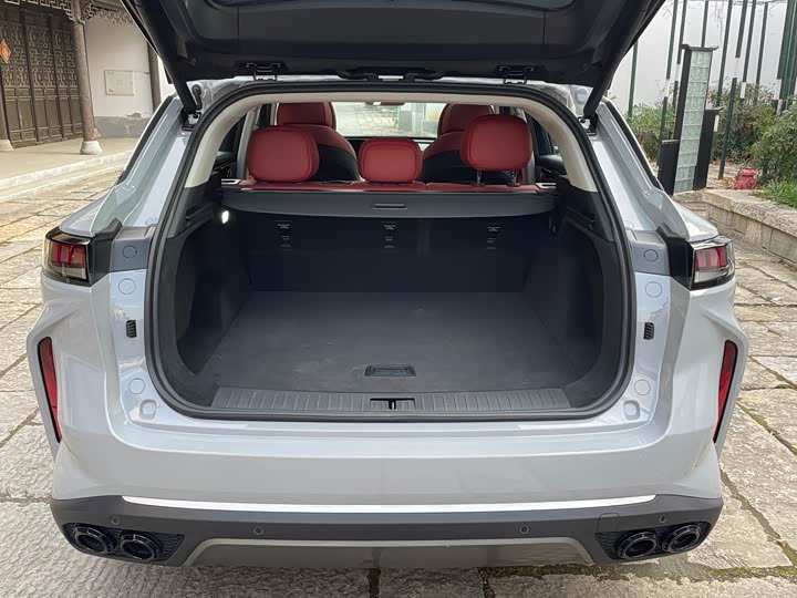 Фото 7 - Exeed RX