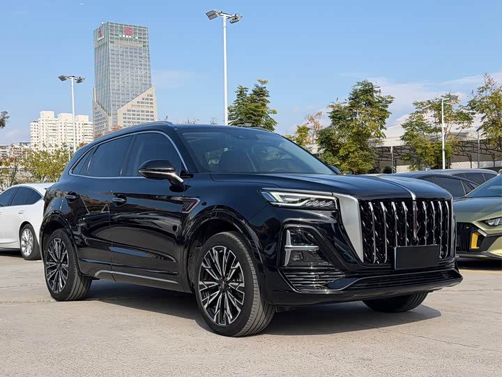 Фото 3 - Hongqi HS5