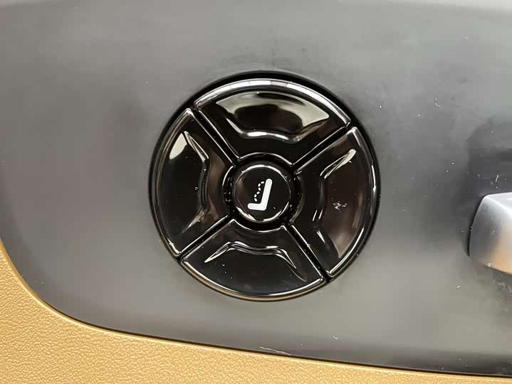 Фото 9 - LiXiang One