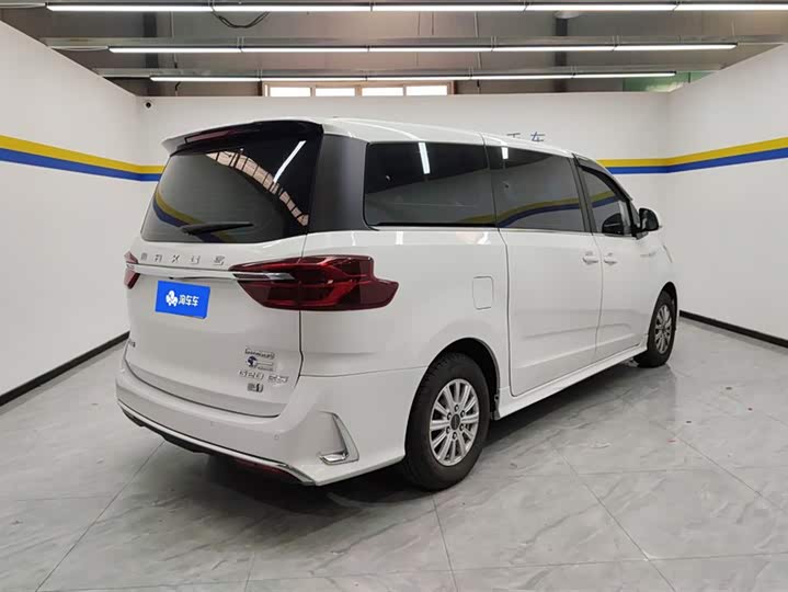 Фото 3 - Maxus G20