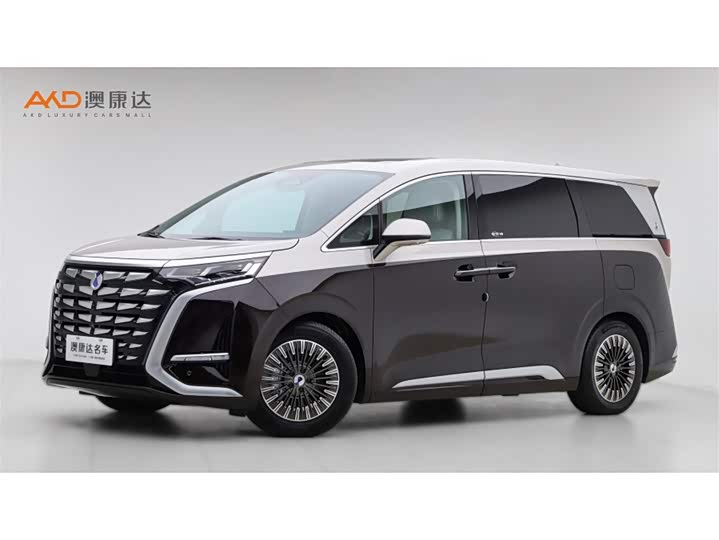 Фото 1 - Denza D9