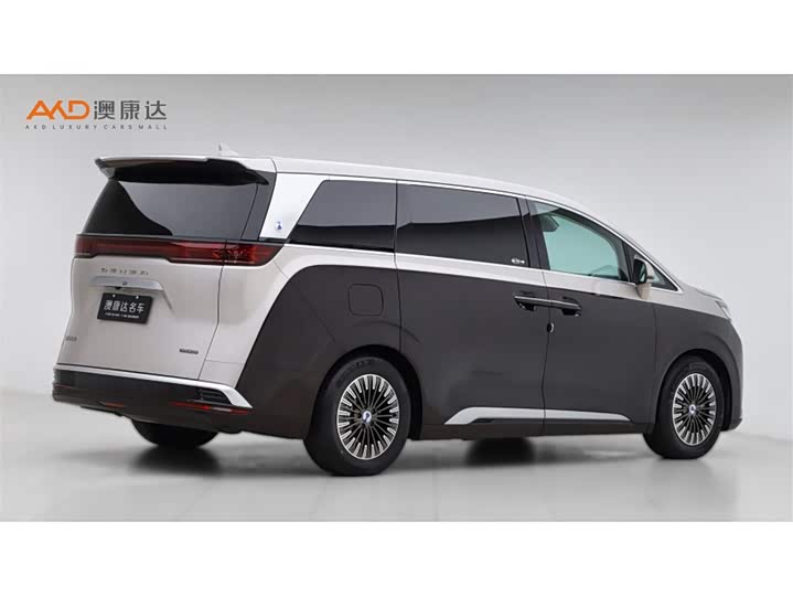 Фото 3 - Denza D9