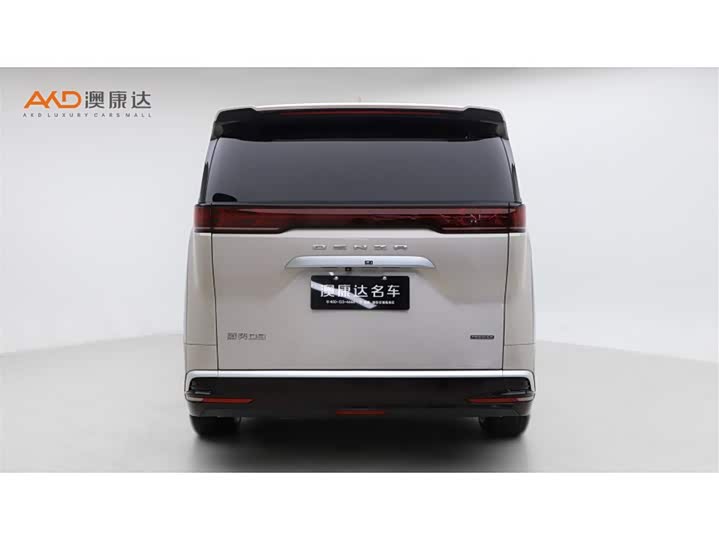 Фото 4 - Denza D9