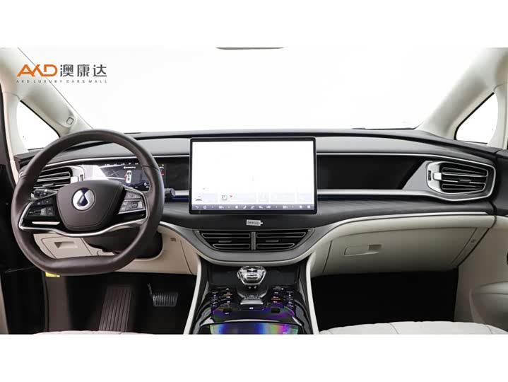 Фото 5 - Denza D9