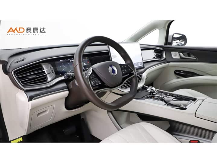 Фото 6 - Denza D9