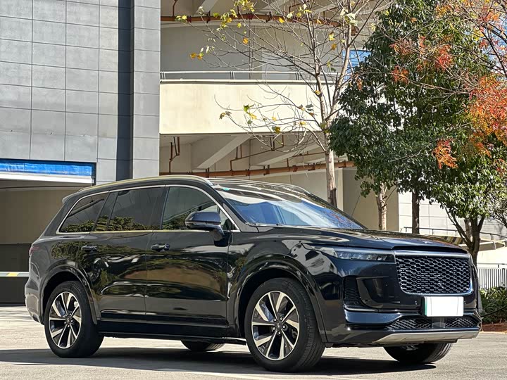 Фото 2 - LiXiang One