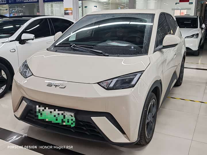 Фото 2 - BYD Seagull