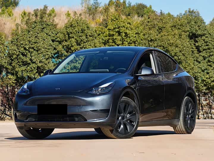 Фото 1 - Tesla Model Y