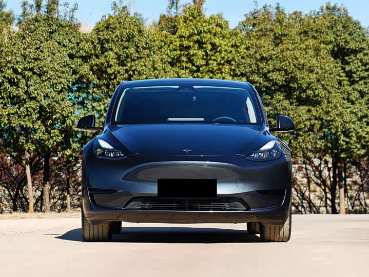 Фото 3 - Tesla Model Y