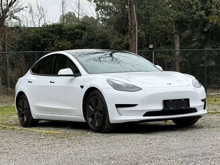 Фото 2 - Tesla Model 3