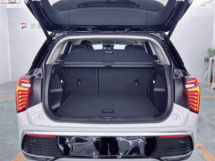 Фото 2 - Hongqi HS3