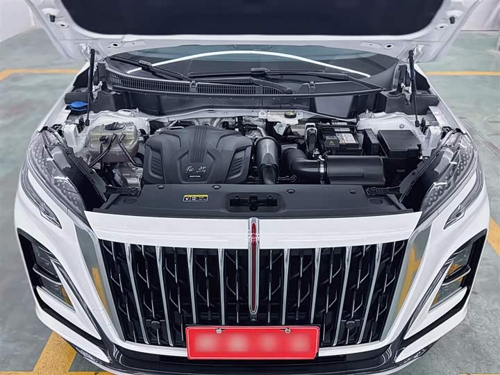 Фото 4 - Hongqi HS3