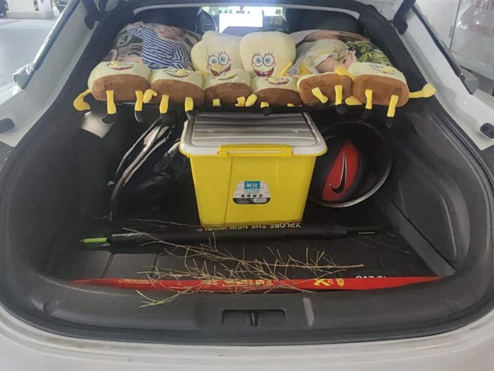 Фото 4 - XPeng Mona M03