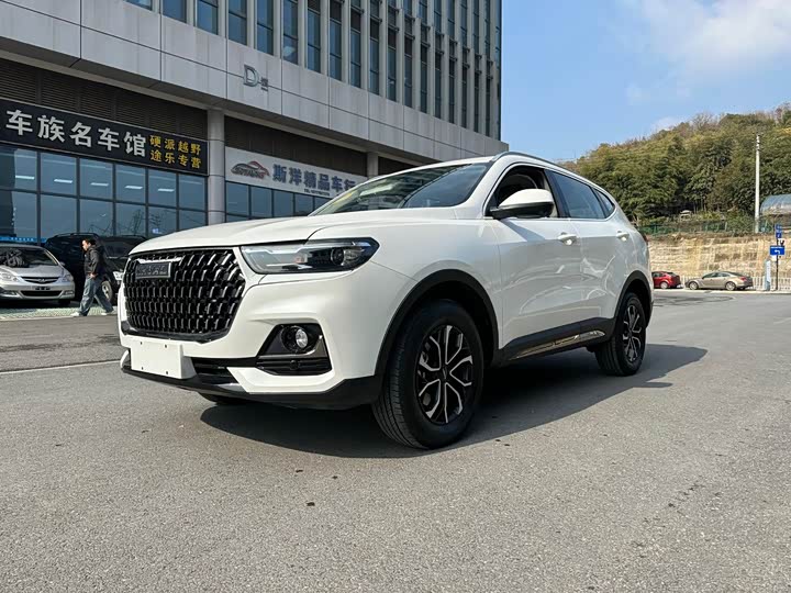 Фото 1 - Haval H6