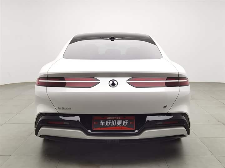 Фото 4 - Denza Z9