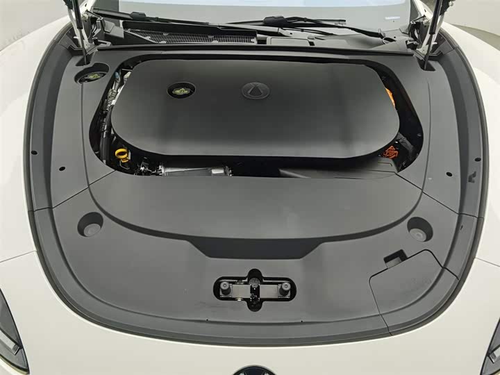 Фото 6 - Denza Z9