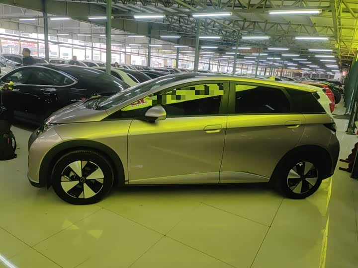 Фото 5 - BYD Dolphin