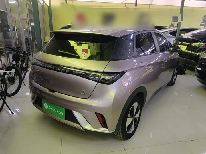 Фото 7 - BYD Dolphin