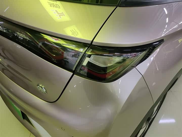 Фото 8 - BYD Dolphin