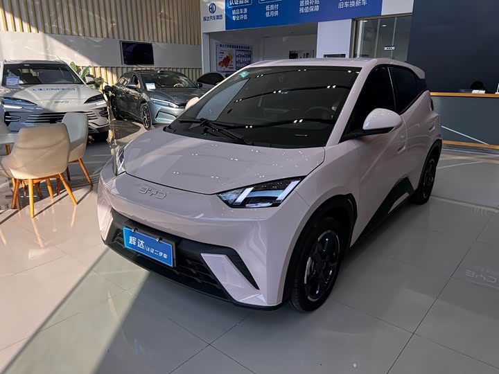 Фото 1 - BYD Seagull