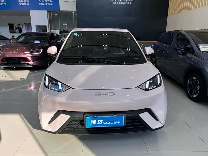 Фото 2 - BYD Seagull