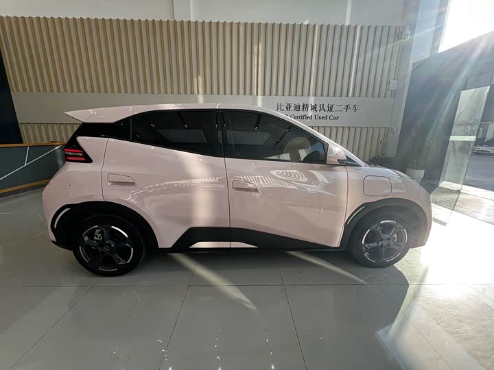 Фото 4 - BYD Seagull