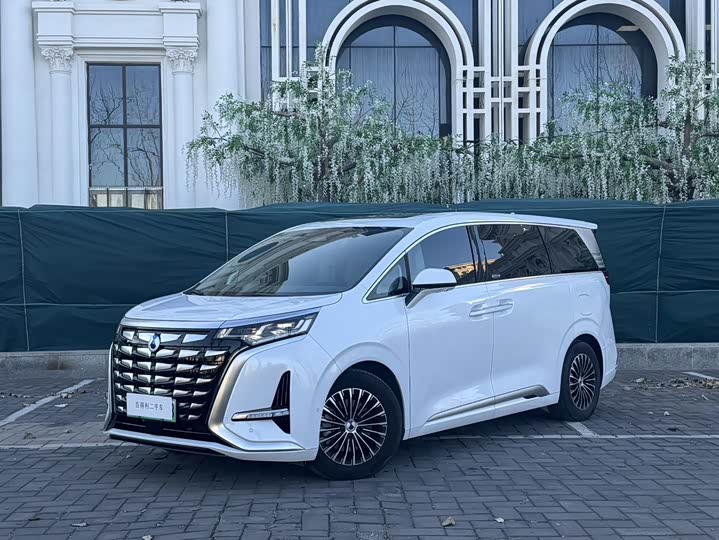 Фото 1 - Denza D9