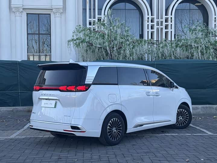 Фото 2 - Denza D9