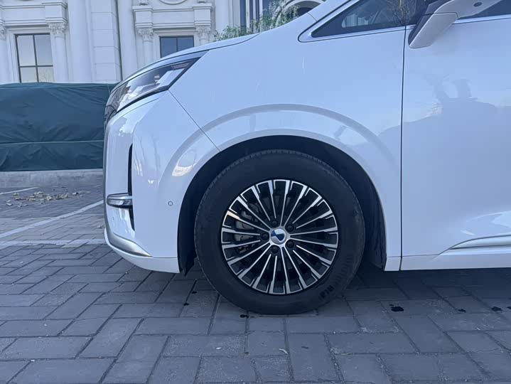 Фото 3 - Denza D9