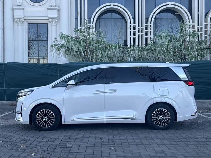 Фото 4 - Denza D9