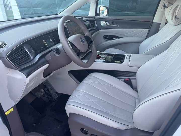 Фото 6 - Denza D9