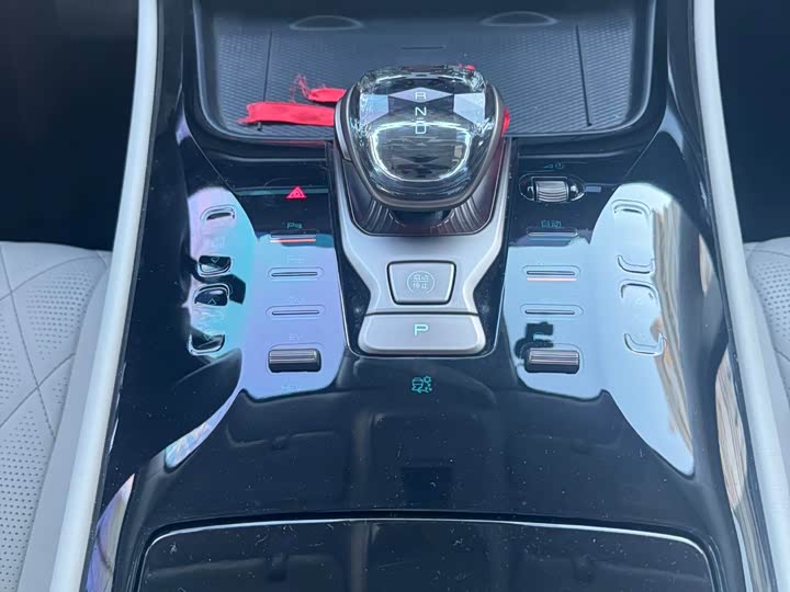 Фото 9 - Denza D9