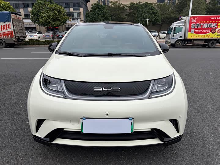 Фото 2 - BYD Dolphin