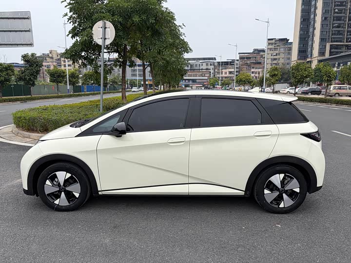 Фото 4 - BYD Dolphin